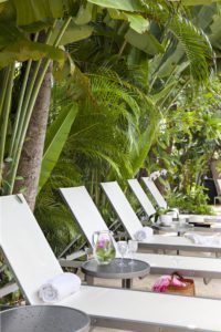 Lounge chairs near palm trees.