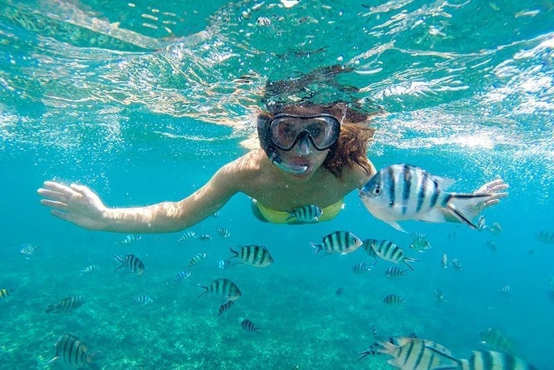 Woman snorkeling above school of striped fish.