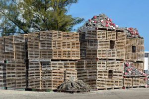 Wood pallets stacked.