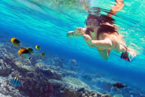 Woman snorkeling near tropical fish.