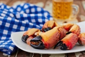 Stone crab claws on plate.