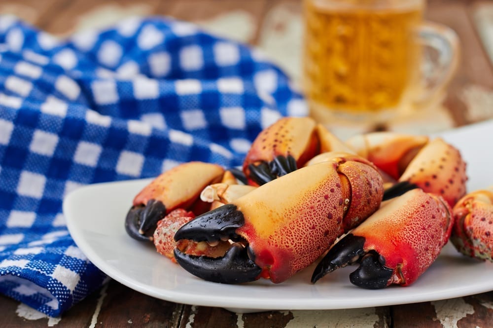 Stone crab claws on plate.