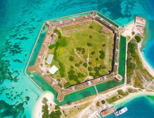 Snorkeling and More: What to Do at Dry Tortugas National Park